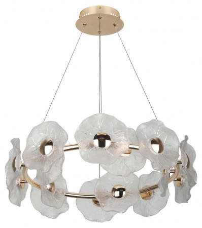 Фото Подвесная люстра Rivoli Shannon Б0061947