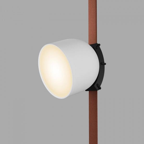 Фото Накладной светильник Denkirs BELTY SPOT DK5543-WH+BK