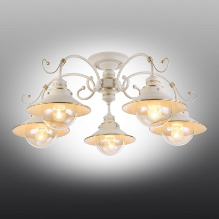 Фото Люстра на штанге Omnilux Torri OML-50807-05