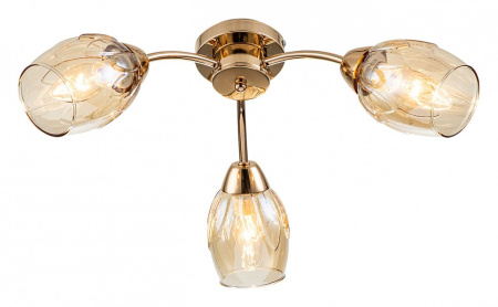 Фото Потолочная люстра Escada Allium 663/3P