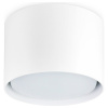 Накладной светильник Ambrella Light TN TN5301 Накладной светильник Ambrella Light TN TN5301