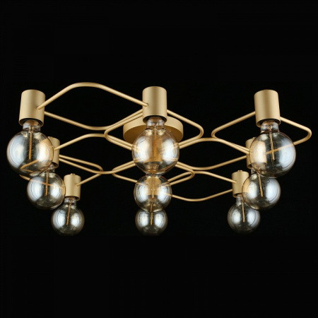 Фото Потолочная люстра Aployt Elison APL.911.07.09