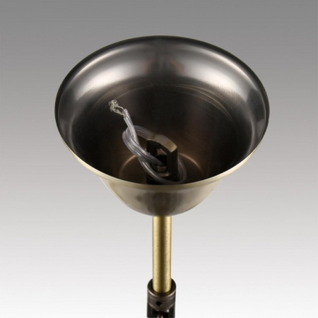 Фото Подвесная люстра Lumion Linn 8190/5