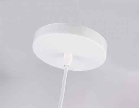 Открыть Подвесной светильник Ambrella Light TR TR8441 Фото Подвесной светильник Ambrella Light TR TR8441