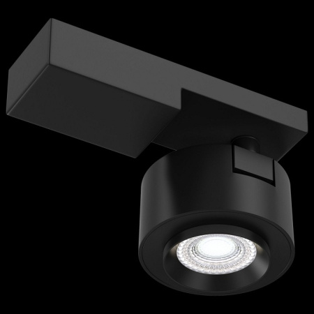 Фото Светильник на штанге Maytoni Treo C062CL-L12B4K