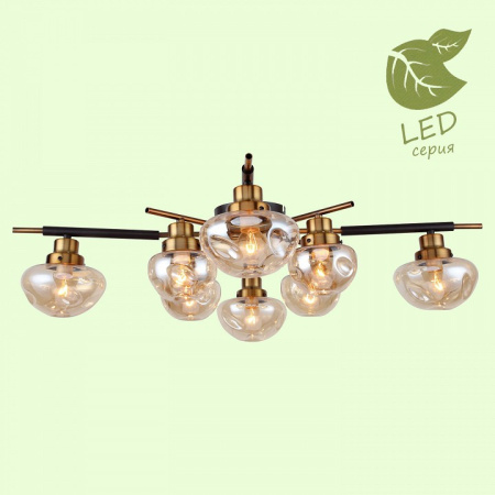 Фото Потолочная люстра Lussole Oahe GRLSP-8142