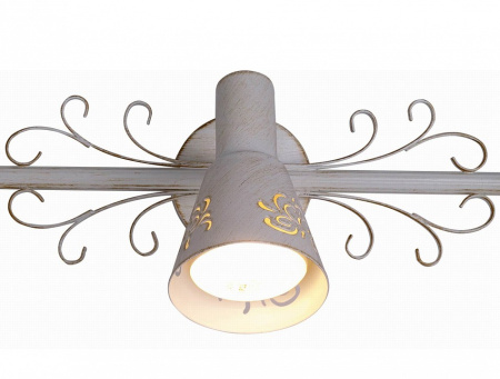 Фото Спот Citilux Дункан CL529532