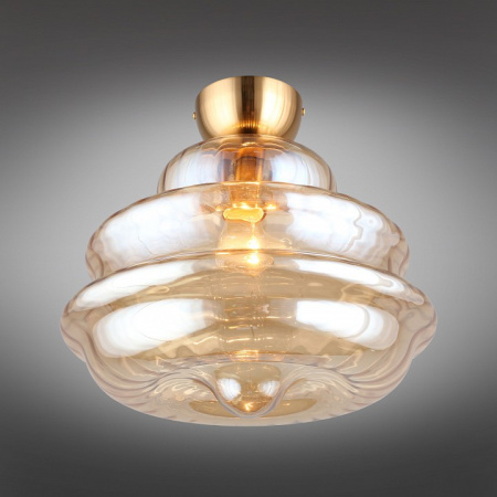 Фото Накладной светильник Aployt Liana APL.303.17.01