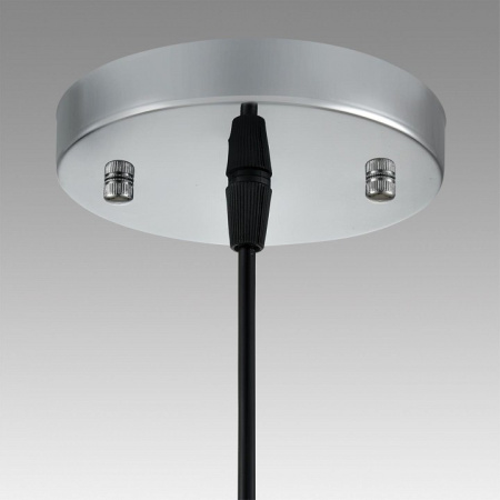 Фото Подвесной светильник Lumion Manola 8049/1А