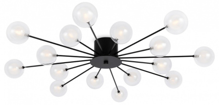 Фото Потолочная люстра Freya Celebrity FR5242CL-16B1