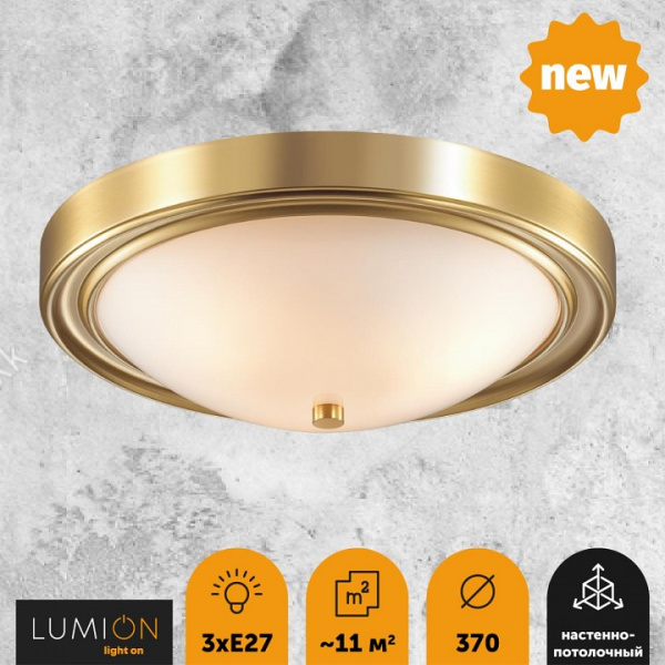 Фото Накладной светильник Lumion Nina 5259/3C