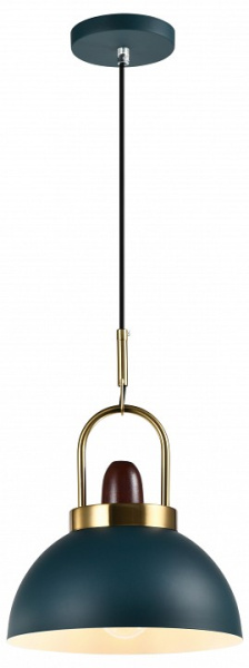 Фото Подвесной светильник Moderli Ravenna V10448-1P