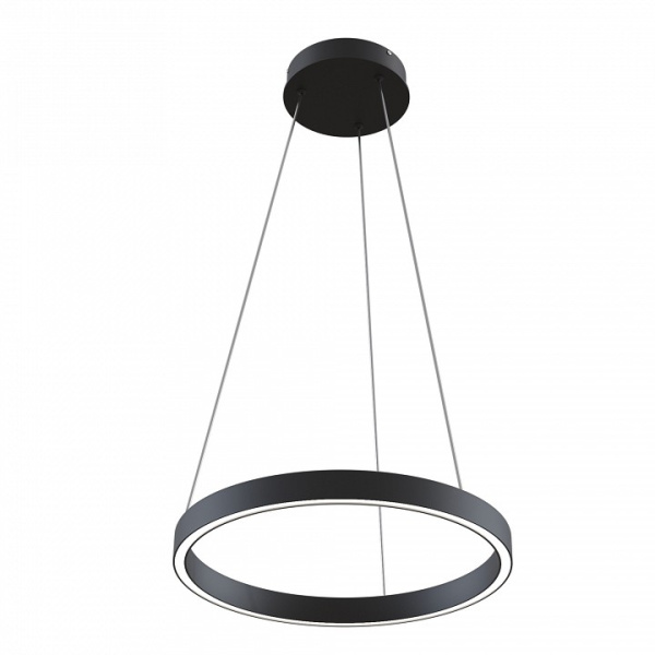 Фото Подвесной светильник Maytoni Rim MOD058PL-L22BK