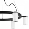 Фото Подвесная люстра Lightstar Rullo LR016366