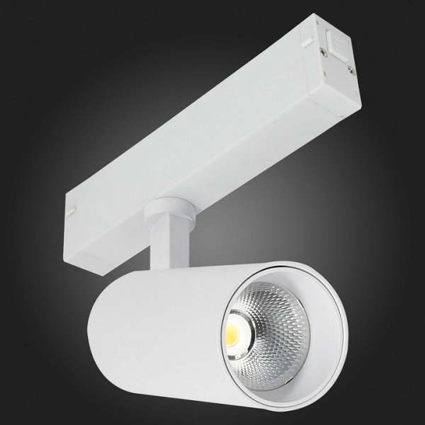 Фото Светильник на штанге ST-Luce ST660 ST660.596.10