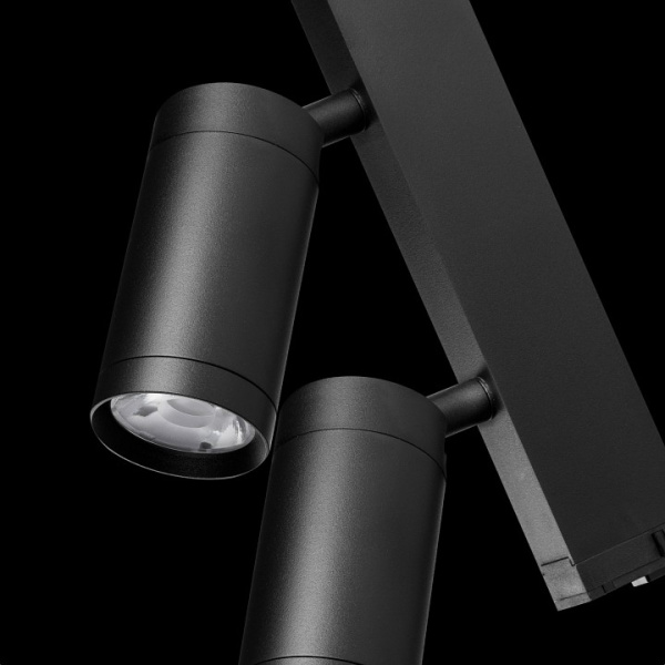 Фото Светильник на штанге Lightstar Teta 205507