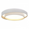 Открыть Накладной светильник EVOLUCE Crosby SLE6009-502-01 Фото Накладной светильник EVOLUCE Crosby SLE6009-502-01