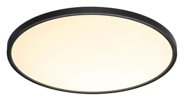 Фото Накладной светильник Sonex Alfa Black 7660/48L