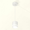 Открыть Подвесной светильник Ambrella Light XP XP8110024 Фото Подвесной светильник Ambrella Light XP XP8110024