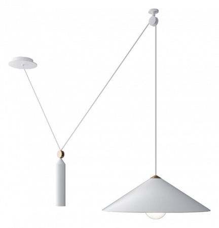 Фото Подвесной светильник Maytoni Peso P080PL-01W