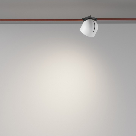 Фото Накладной светильник Maytoni Cup TR124B-12W4K-W