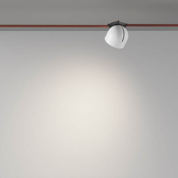 Фото Накладной светильник Maytoni Cup TR124B-12W4K-W