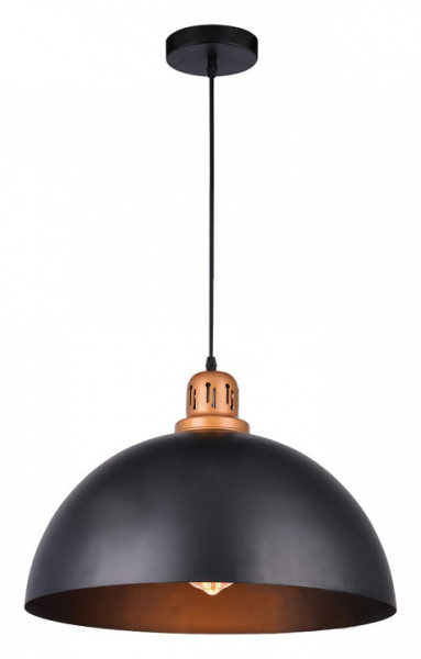 Фото Подвесной светильник Arte Lamp Eurica A4249SP-1BK