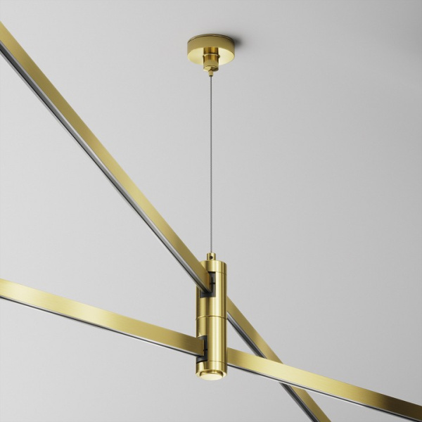 Фото Подвес для трека Maytoni Accessories for tracks Flarity TRA157SW-D1-BS