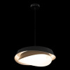 Фото Подвесной светильник Loft it Petale 10256P Black
