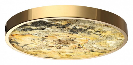 Фото Накладной светильник Odeon Light Bergi 5079/40L