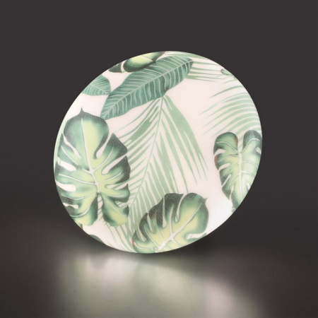 Открыть Накладной светильник Sonex Flori 7748/CL Фото Накладной светильник Sonex Flori 7748/CL