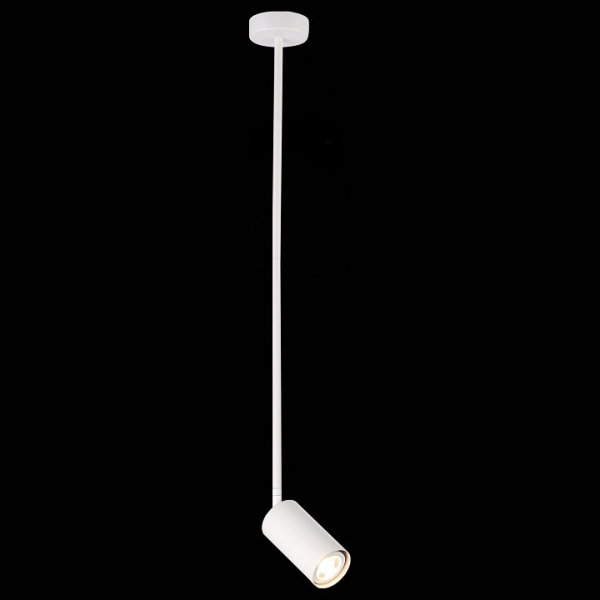 Фото Светильник на штанге ST-Luce Sormano SL1206.503.01