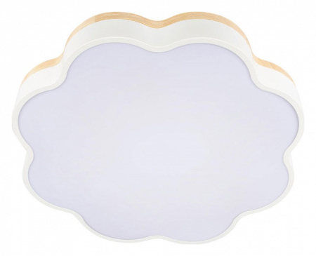 Фото Накладной светильник Loft it Axel 10225/36 White