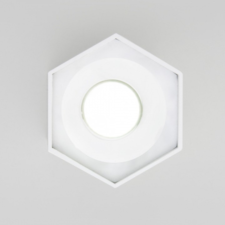 Фото Накладной светильник Elektrostandard 25037/LED a055858