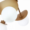 Открыть Потолочная люстра EVOLUCE Bolzano SLE220502-05 Фото Потолочная люстра EVOLUCE Bolzano SLE220502-05