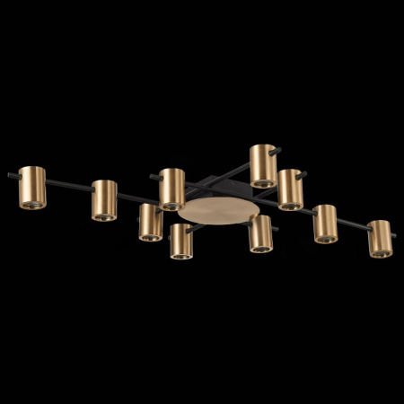 Фото Потолочная люстра ST-Luce Veroli SL1207.402.10