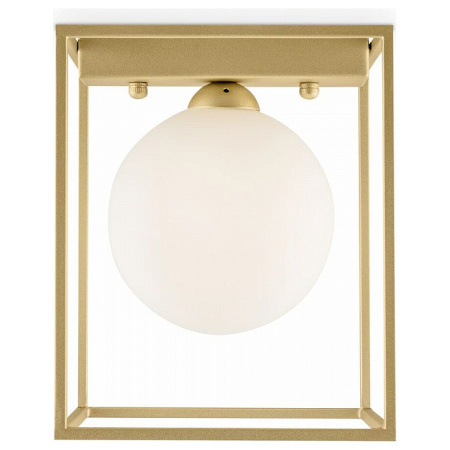 Фото Накладной светильник Freya Trinity FR5113CL-01G