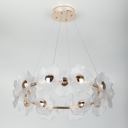 Фото Подвесная люстра Rivoli Shannon Б0061947