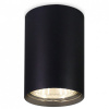 Открыть Накладной светильник Ambrella Light TN TN213102 Фото Накладной светильник Ambrella Light TN TN213102