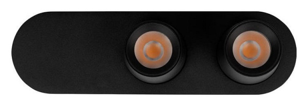 Фото Накладной светильник Loft it Quiet 10320/2 Black