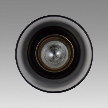 Фото Подвесной светильник Lumion Isha 8101/1A