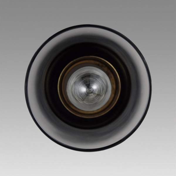 Фото Подвесной светильник Lumion Isha 8101/1A