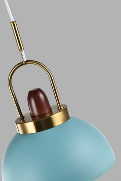 Фото Подвесной светильник Moderli Ravenna V10447-1P