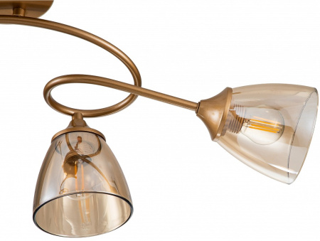 Фото Потолочная люстра Escada Celosia 1112/4P