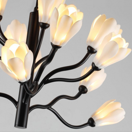 Фото Подвесная люстра Odeon Light Gardi 5090/15