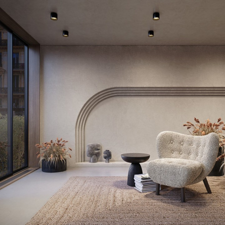 Фото Накладной светильник Maytoni Planet C009CW-L12B4K