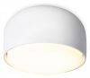 Накладной светильник Ambrella Light TN TN71001 Накладной светильник Ambrella Light TN TN71001