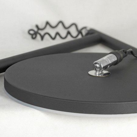 Фото Торшер Lussole Carmel LSP-0901