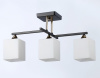Открыть Люстра на штанге Ambrella Light TR TR303114 Фото Люстра на штанге Ambrella Light TR TR303114