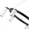 Фото Подвесная люстра Lightstar Rullo LR016363863